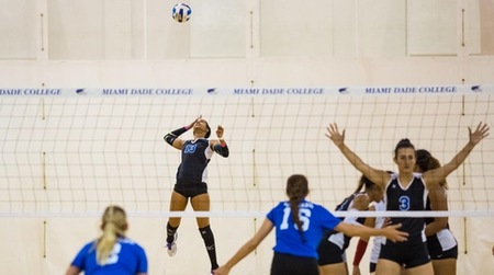 Freshman With International Experience Adds Flare To Lady Sharks Volleyball Team
